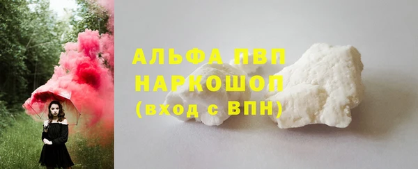 эйфоретик Касимов