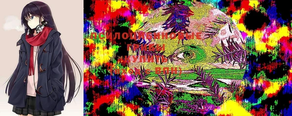прущий лед Карпинск