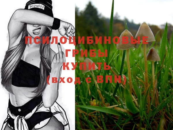 амф Карталы