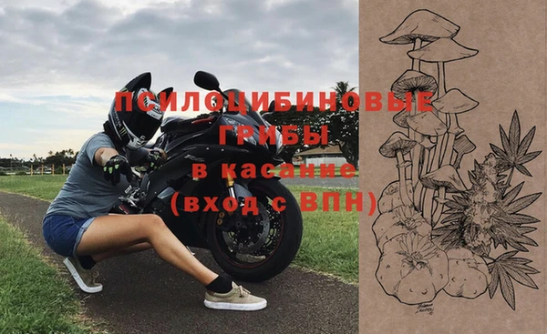 прущий лед Карпинск