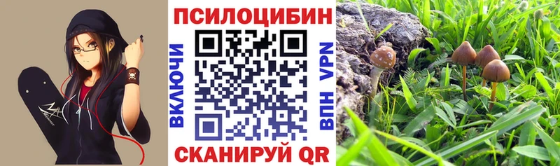 Галлюциногенные грибы прущие грибы  Купить где  Каневская 